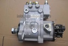 Fuel Injection Pump 0445020084, D5010222523