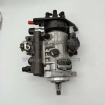 Fuel Injection Pump 9521A030H