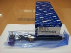 Delphi Injector 28229873 for HYUNDA KIA 33800-4A710