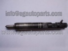 Common Rail Injector EJBR04601D